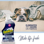 OdoBan Night Ice spray bottle next to a bulldog resting on a blanket with text about eliminating pet odors on fabrics.