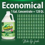 Economical graphic stating 1 gal. concentrate equals 128 qt. with an OdoBan gallon jug and many spray bottle icons.