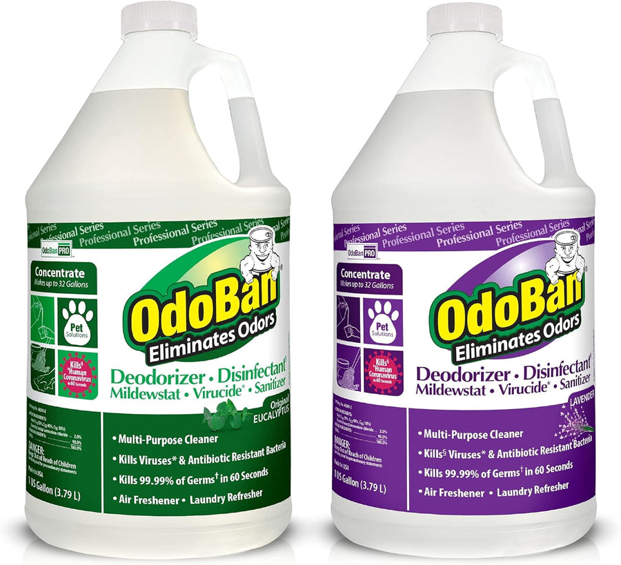 Two one-gallon OdoBan concentrate jugs side-by-side, green eucalyptus and purple lavender labels visible against a white background.