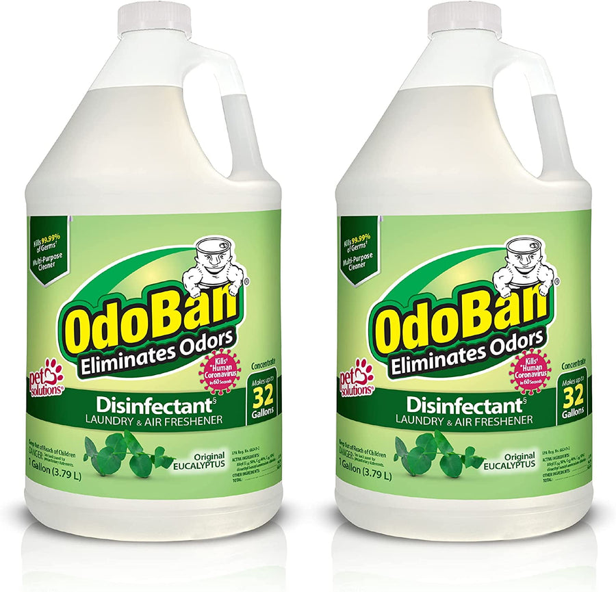 Two OdoBan gallon jugs with green eucalyptus disinfectant labels shown side-by-side on white background.