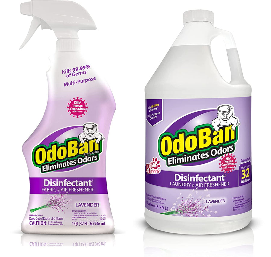 Two lavender-scent OdoBan disinfectant bottles: a trigger spray and a one-gallon concentrate jug with purple labels
