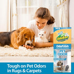 Lifestyle photo with a person, dog and cat on a carpet and an OdoBan OdoFresh product box promoting pet odor removal