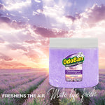 Single OdoBan OdoMagnet lavender gel crystal jar placed over a lavender field background with sunrise and promotional text