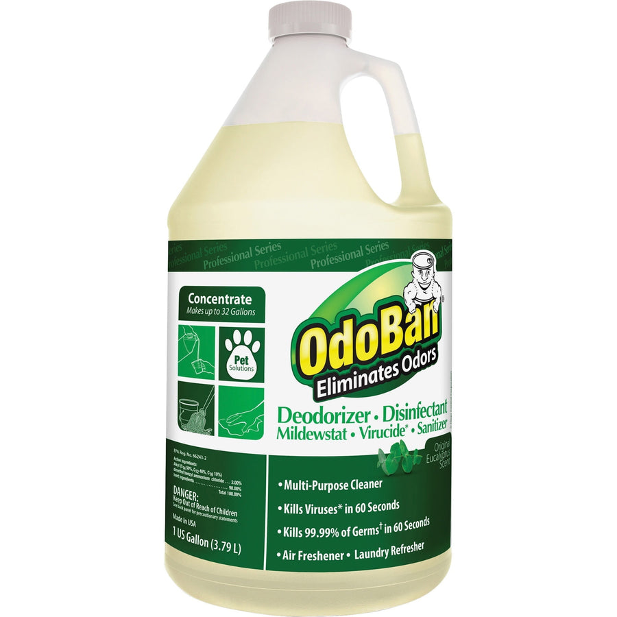 One-gallon translucent jug of OdoBan concentrate with a green label reading 'OdoBan Eliminates Odors' and usage icons
