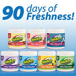 Promotional graphic showing seven OdoBan odor absorber tubs in different label colors under the headline “90 days of freshness!”.