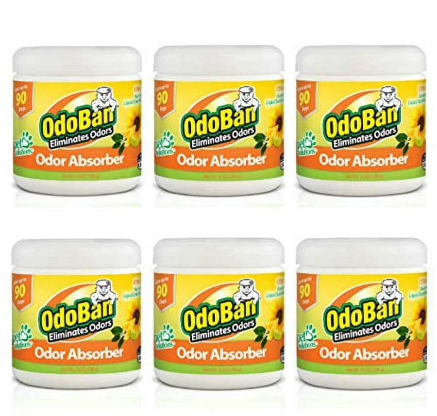 Six OdoBan odor absorber tubs with citrus-themed yellow-orange labels arranged in two rows on a white background.