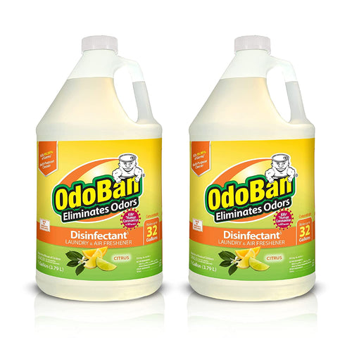 Two OdoBan citrus-scent disinfectant jugs side-by-side with bright yellow-green branded labels
