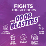 Purple infographic panel reading 'Fights Tough Odors' and 'Odor Blasters' with icons for damp clothes, pet odors, sweat, musty towels and body odor.