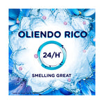 Graphic panel reading 'OLIENDO RICO' with circular 24/H icon and blue floral water background, 'Smelling Great' caption