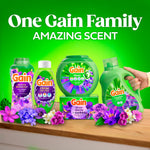 A lineup of Gain products including rinse out odor bottle, scent booster, detergent and dryer sheets with 'One Gain Family' headline.