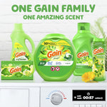 Collection of Gain products including Flings tub and other Gain items with headline “ONE GAIN FAMILY ONE AMAZING SCENT”
