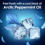 Artistic image of ice cubes and mint leaves with headline promoting a cool blast of Arctic Peppermint Oil, blue background glow.