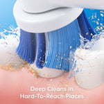 Close-up illustration of round toothbrush bristles cleaning teeth with water and debris to show deep cleaning action