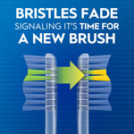 Infographic showing bristles fading from green to yellow with text 'Bristles fade signaling it's time for a new brush'