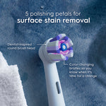 Close-up of an Oral-B round brush head with text callouts about five polishing petals and color-changing bristles
