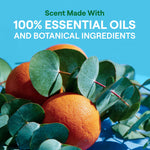 Close-up of oranges and eucalyptus leaves illustrating scent made with essential oils