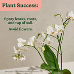 White orchid plant photographed with text instructions to spray leaves, roots, and top of soil and to avoid flowers.