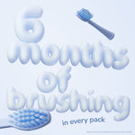 Promotional graphic showing two toothbrush heads and large puff-style text reading “6 months of brushing” with a pale blue color scheme.