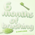 Graphic style text reading “6 months of brushing” with two green toothbrush heads and close-up of bristles on a pale green background.