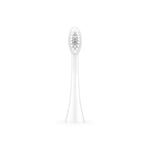 White Ordo Sonic replacement toothbrush head photographed upright on a plain white background, showing oval bristle surface