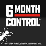 Bold typographic graphic stating 6 month control with a small ant silhouette and qualifying text below