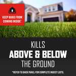 Close-to-ground lawn photo with a blurred house in the background and headline text 'Kills Above & Below the Ground'.