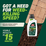 Promotional graphic showing Ortho GroundClear bottle with pavers and mulch images and text highlighting 15 minute visible results.