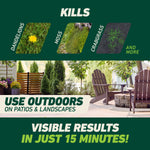 Graphic showing weeds killed (dandelion, moss, crabgrass) and outdoor patio use message
