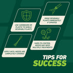 Infographic panels with icons and tips for using Ortho GroundClear, including rinsing desirable plants and shielding with cardboard.