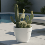Cream planter placed outdoors on a patio floor containing several cacti, with pool and lounge area blurred in background.