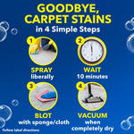 Step-by-step infographic showing spray, wait, blot, vacuum with circular photos and a clock on blue background