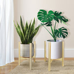 Pair of light-finished wooden plant stands each holding a textured pot and green houseplants near a curtain