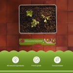 Overhead shot of a small planter tray above a PaperChef parchment box with icons highlighting natural, food-grade, compostable