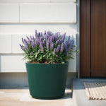 Parker green ribbed planter placed outdoors by a house entry, filled with purple flowering plants