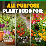 Three-panel garden image showing container plants, a vegetable garden with tomatoes, and a flower bed