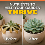 Before and after split image showing a wilted succulent on the left and a healthy rosette succulent on the right with headline about nutrients
