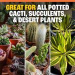 Three-panel collage of potted cacti and succulents with headline stating great for all potted cacti, succulents, & desert plants