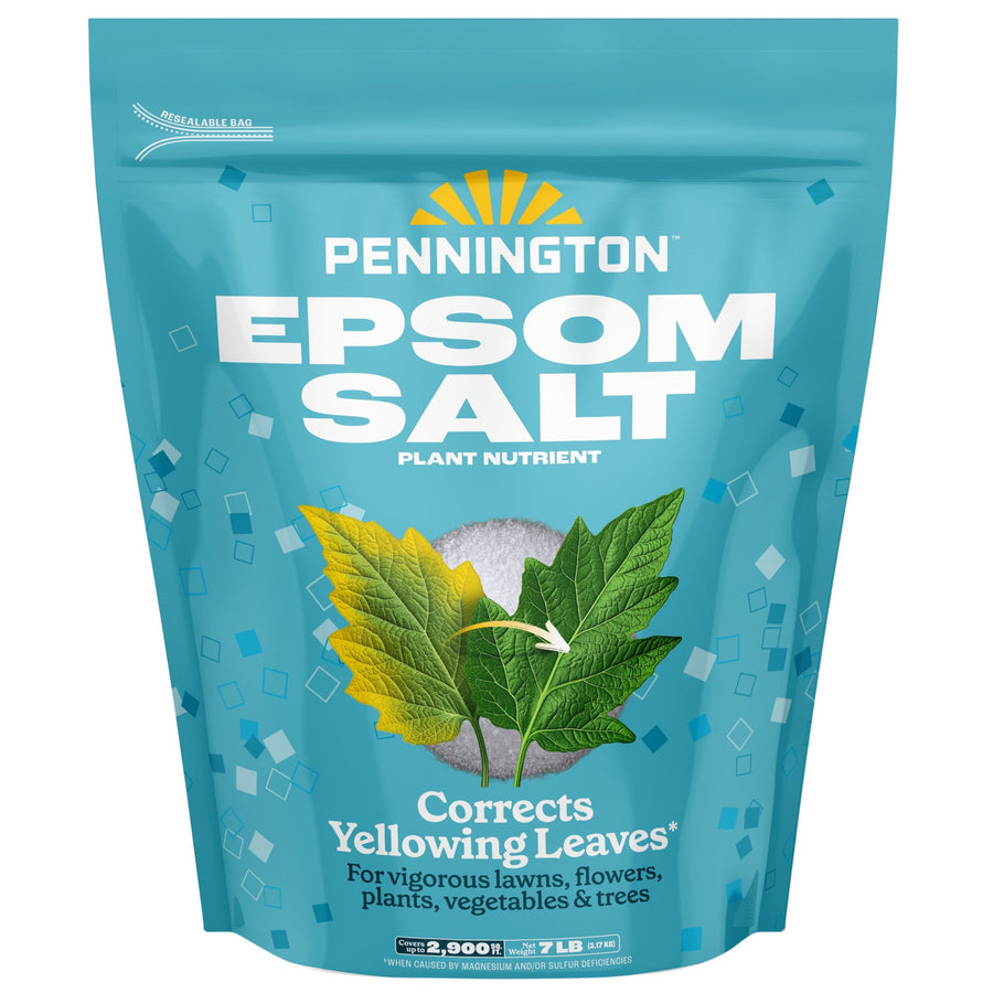 Studio product shot of a Pennington Epsom Salt teal resealable bag on a plain white background