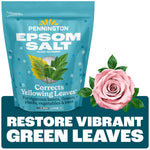 Pennington Epsom Salt resealable teal bag with leaf illustration and rose graphic over dark teal callout