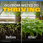Split before-and-after seedling tray image with text 'Go from wilted to thriving' showcasing healthier plants after use