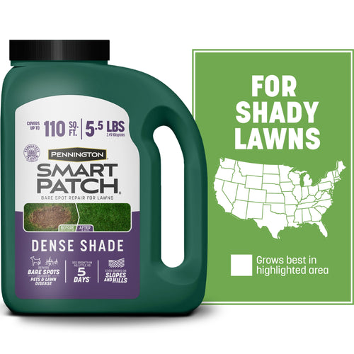 Green jug-style container of Pennington Smart Patch Dense Shade lawn repair product with label and US map graphic