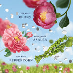 Graphic showing peony and azalea illustrations with peppercorn cluster and text identifying top, middle and base fragrance notes
