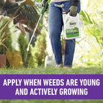 Lifestyle shot of a person holding a Roundup for Lawns sprayer wand and container while applying product to a dandelion.