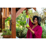 Person hanging a lime-green Rescue W-H-Y insect trap from a hook on a wooden pergola in a garden setting