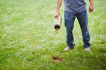 Person standing on grass pouring granular lawn repair product from a gold jug onto a bare spot in the lawn