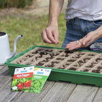 Person sprinkling seeds into individual cells of a Back to the Roots planting tray with seed packets and a watering can nearby