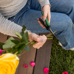 Person using green-and-black gardening snips to trim flower stems while seated on a wooden surface