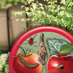Close-up circular graphic showing various pests on fruit and leaves over a blurred garden background