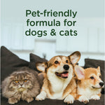 Cat and two corgi dogs lying on a couch with text 'Pet-friendly formula for dogs & cats'