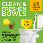 Green instructional graphic showing a toilet bowl, lemon and pine imagery and a 1/2 cup dosage arrow for cleaning bowls